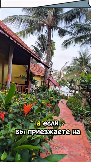 ФУКУОК ПОЛЕЗНОЕ | ЛАЙФХАКИ | ЭКСКУРСИИ | ПОГОДА on Instagram: "С вами снова Ночной Сторож Фукуока. Присаживайтесь поближе… сейчас будет про кофе, который здесь знают по имени. ☕🌴 На острове Фукуок есть место, где кофе не просто продают — его проживают. Это кофе собственной обжарки от мистера АКА. Без туристической суеты, без случайных вкусов и без компромиссов. ☕ Здесь знают, что такое зерно, обжарка и вкус, а не «как бы подешевле». В каждой точке можно спокойно пообщаться, задать вопросы, разо