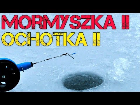 Zwariowały Na Widok Ochotki !! Łowienie Na Mormyszkę !! Wędkarstwo Podlodowe na Pzw !!