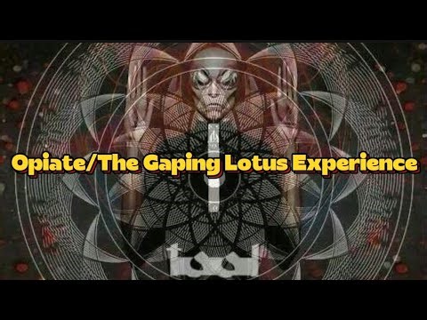 Tool 🇺🇸 - Opiate ( Lyrics )