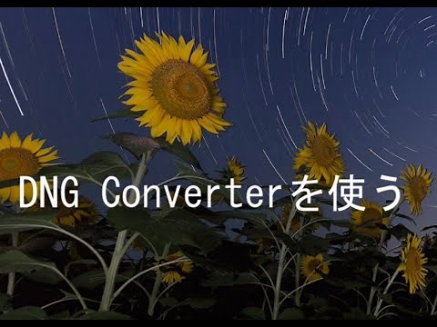DNGコンバーターを使う