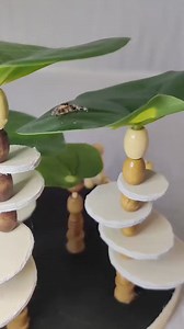 Deep conversations with spiders #jumpingspider #brightenyourday #kidhumor #fyp | Mini RoboMuppets