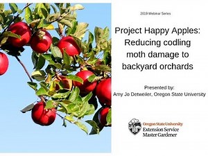 Project Happy Apples: Reducing codling moth damage in backyard orchards