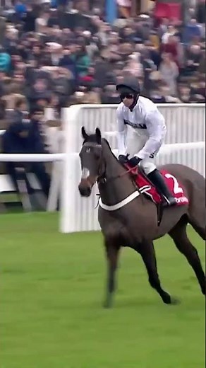 Constitution Hill to run at Southwell on Friday! 👀