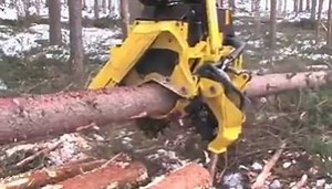 Amazing Wood Processing machine | Uptrend Science & Technology