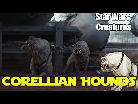 Correllian Hounds | Star Wars Creatures