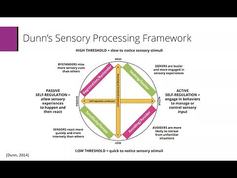 Sensory Processing & Autism