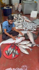 1.5M views · 15K reactions | ভাইরে ভাই আর কত্ত বলি? এই সময়ে ইলিশ না...