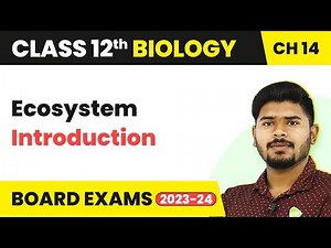 Introduction - Ecosystem | Class 12 Biology (2022-23)