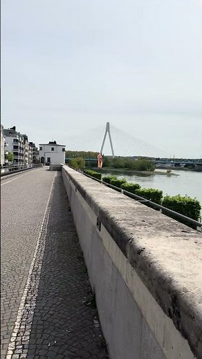 Neuwied Deichwelle