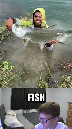 How to catch Tarpon! #fishing #lure #tarpon