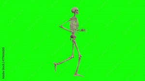A skeleton 3D character running on green screen seamless loop 3D animation, side view animated loop. You can easily remove the green screen with just one click using any video editor.