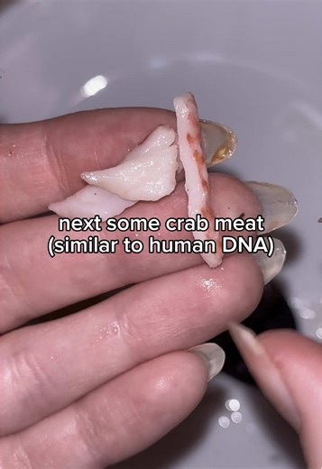 faeriequeens (@faeriequeens)’s videos with original sound - faeriequeens