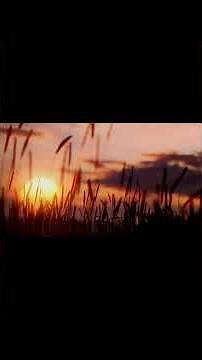 Blessed Swahili Worship Songs 🙏 #Shorts #SwahiliGospel #ChristianMusic #Worship