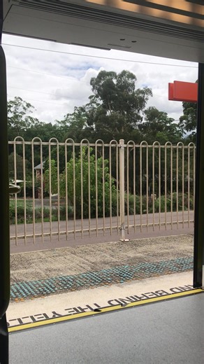 Which one is better D set Or Tangara?