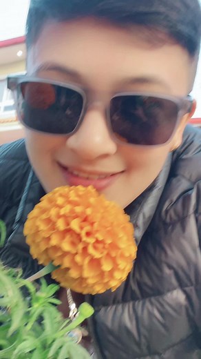 Exploring Nature: The Beauty of Marigold Flowers