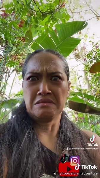 Hybrid Plant Creation Through Cross Pollination