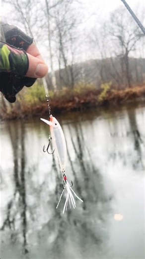 Testing the Rapala X-Rap Countdown on the Battenkill River #fishing #fishingequipment #troutfishing