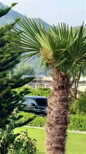 Black Lexus Lx 570✨🔥🖤