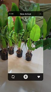 Banana plant / banana tree/ artificial plant / 30 inch long #ahmadhouse #plantdecoration #ethnobotany #planthanger #farmdecor #decogarden #ahmadtreehouse #ahmadtree #decor #decoration | Ahmad Tree House