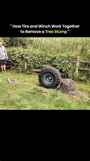Random Clips on Instagram: "A tire and winch work together to remove a tree stump efficiently. The tire is placed over the stump to create a stable base. A winch cable or chain is then attached to the stump and pulled with steady tension. The tire distributes the pulling force evenly, providing leverage and loosening the roots. Repeated tension gradually lifts the stump from the ground. This method is cost-effective, avoids chemicals, and uses simple mechanical principles. via : @haroldbrakhage/