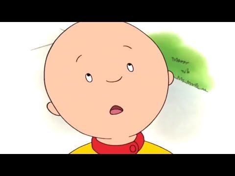 Caillou - 5 Horas | Caillou en Español Castellano