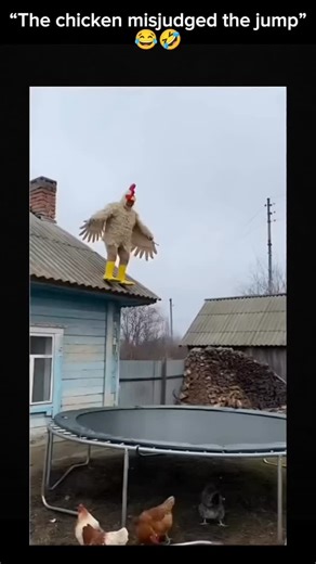 Global Fun & facts on Instagram: "An X post features a 10-second vertical clip showing a tabby cat seemingly using a yellow leaf as bait—dropping it into a still river to lure a goldfish, then springing up on its hind legs to snatch the fish mid-air. The post’s caption is nothing more than a black cat emoji. Shared by a Turkish account known for celebrating Atatürk, the video surged to almost 500,000 views within 24 hours. Viewers marveled at the cat’s apparent cleverness, while others were skep