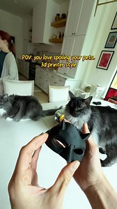 Pet-Safe 3D Printing with Bambu Lab PLA Pure