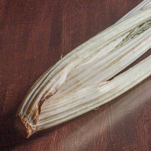 The Best Cardoon Recipe