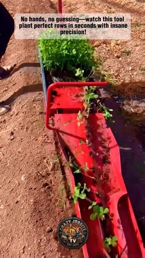 This Planting Machine Is INSANELY Fast! Perfect Rows Every Time?! 🌱 #Farming #DIY #Satisfying