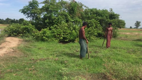 How I Started Building an Elephant-Style Underground Pool