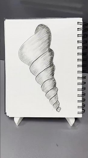 Easy and Simple Shell drawing tutorial #drawing #art #sketch #shell