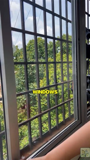 2.9K views | Ever tried cleaning with just water? The Swivo Magic Cloth makes it possible. No streaks, no lint, no sprays - just mirror-like shine in one swipe. Reusable, eco-friendly, and guaranteed to work - or your money back. | Swivo India | Facebook