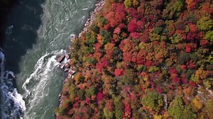 56K views · 2.7K reactions | Fall Colours  in Niagara Falls  | Visit Niagara | Facebook