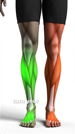 Grow Inner Calves (Most People Train Them Wrong)