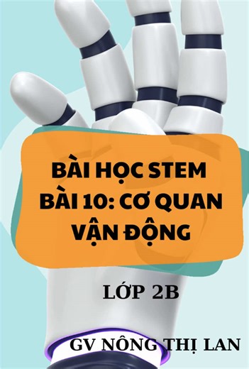 Bài học Stem lớp 2: Tự nhiên và Xã hội bài 10: Cơ quan vận động #TieuhocTanLongTPTN ******************************** 🎯Trường Tiểu học Tân Long ******************************** 🏫Tổ 7, phường Tân Long, TP Thái Nguyên ******************************** 🌐www.thtanlong.pgdtpthainguyen.edu.vn ******************************** 📮c1.thtanlong.phongtp@thainguyen.edu.vn