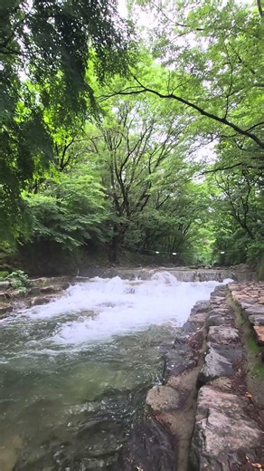 202605 비온뒤계곡 #동학사 #계룡산 #공주시 #계곡 #물멍