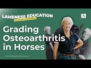 Grading Osteoarthritis in Horses: Hind Limb Lameness Insights