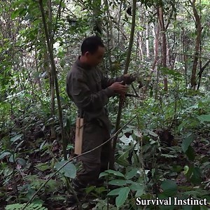 17K views · 549 reactions | Pipi's lucky day We only use only page...