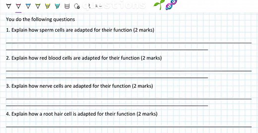 TikTok · TheCombinedScienceTeacher