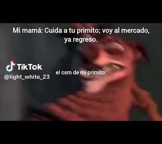 Chibolo Malcriao: ¿El Memes Perfecto?