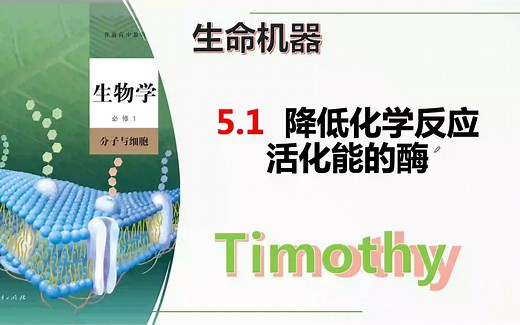 【2023生物学必修1】5.1-1降低化学反应活化能的酶 新人教版新高考新课标网课知识点讲解高中生物学莫西老师