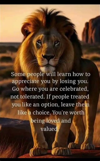 Quotes Sabr/ Bewafa Quotes/ Heart Break/ #botanywithyoutube