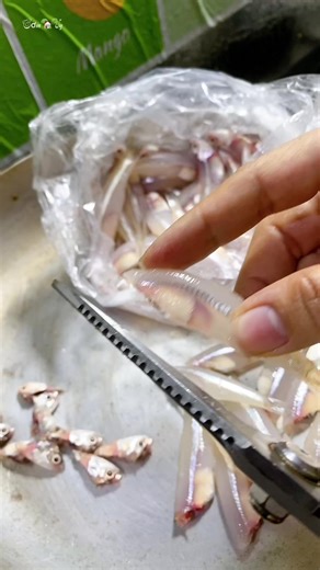 Kỹ Thuật Nuôi Cương Cá Hiệu Quả