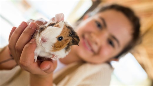 Prvé domáce zvieratko pre dieťa: Je lepšie morča, rybka alebo psík?
