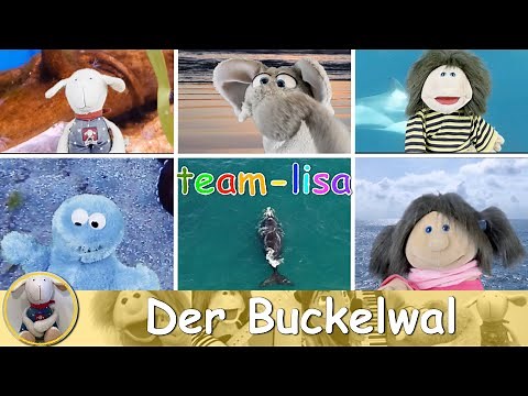 Der Buckelwal - the wellerman deutsch - Kinderlied Mitsingen - Grundschule - Sea Shanty Nathan Evans