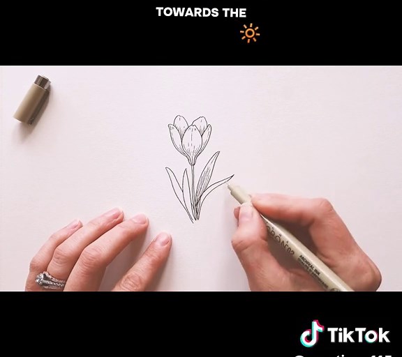 Learn to Draw Crocus Flowers in Under Five Minutes