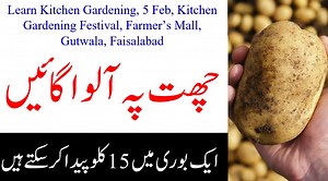 366K views · 10K reactions | Grow your own to keep yourself healthy....