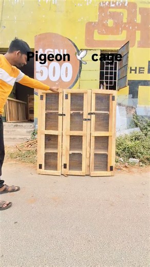 𝐒𝐊𝐒_𝐏𝐈𝐆𝐄𝐎𝐍_𝐋𝐎𝐅𝐓_ on Instagram: "12rack pigeon cages . . . . . #pigeon #pigeons #birds #bird #pigeonlove #pigeonsofinstagram #birdsofinstagram #g #pigeonlife #pigeonfan #nature #vercin #babyshop #birdphotography #pigeonpose #pigeonphotography #pigeonlover #dove #racingpigeons #tauben #photography #paloma #taube #birdlovers #pigeonracing #perlengkapanbayi #pigeonforge #love #pigeonlovers #merpati"