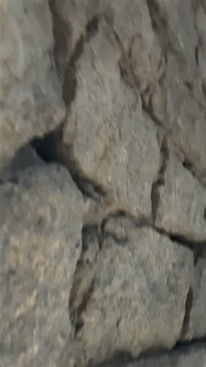 Pretty clean for a charcoal factory