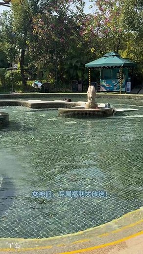 森林海温泉乐园 #广州森林海 #森林海温泉乐园 #森林海嬉水乐园 #亲子游玩好去处 #大自然就是我的舒适区